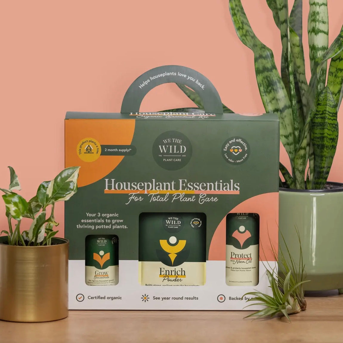 Houseplant Essentials Care Kit