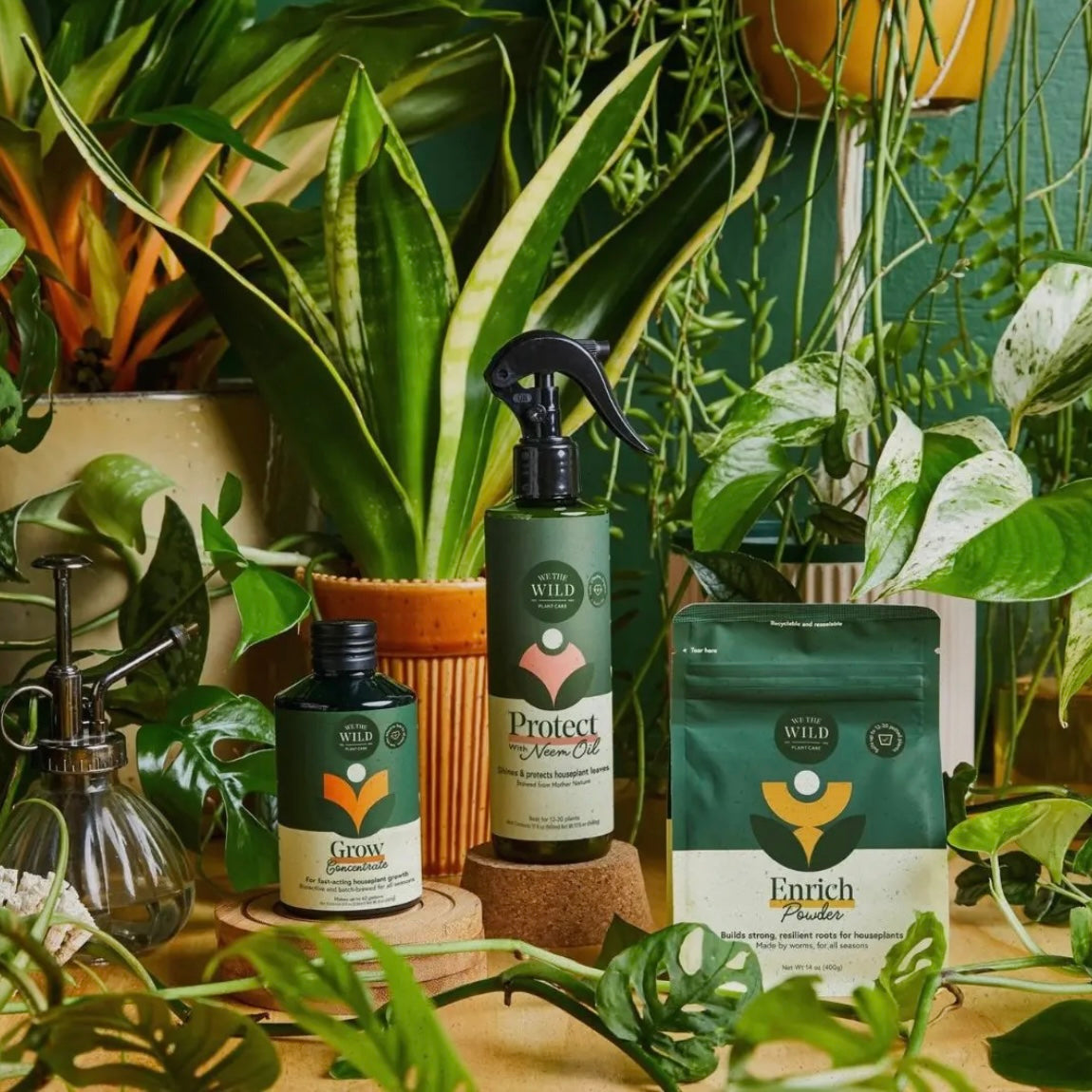 Houseplant Essentials Care Kit