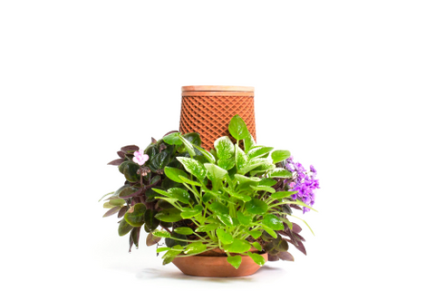 Teva planter : Self Watering Planter